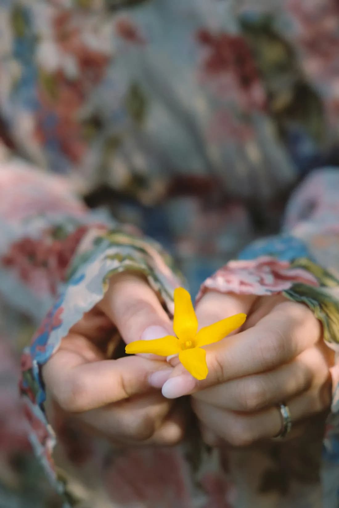 Unas manos sostienen una flor amarilla